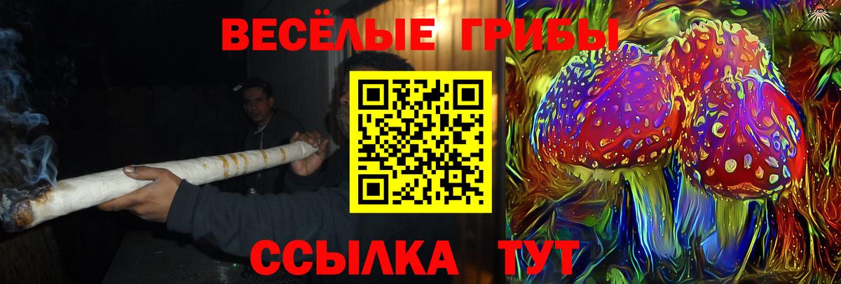 Рыбинск  Галлюциногенные грибы прущие грибы  Вход с VPN 